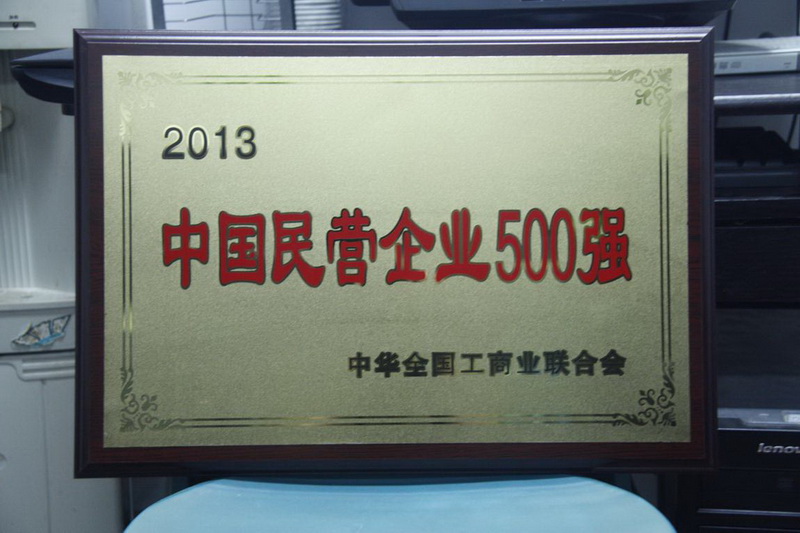 2013年中国民营企业500强