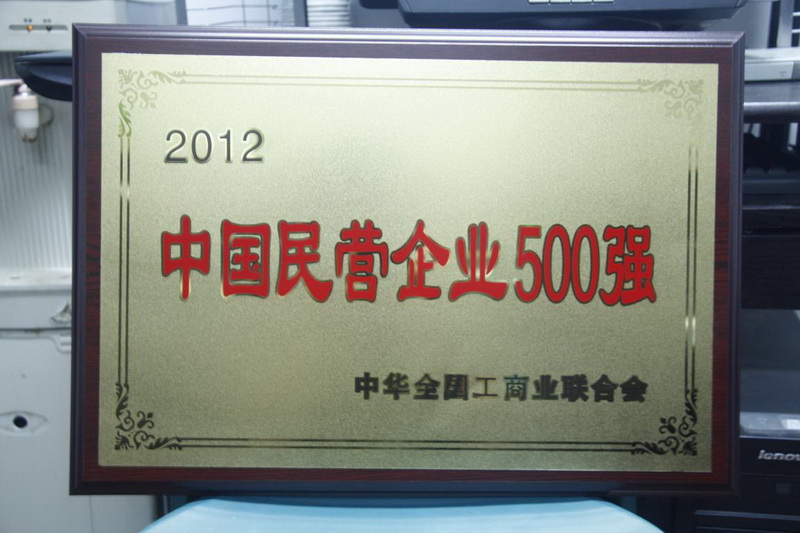 2012年中国民营企业500强
