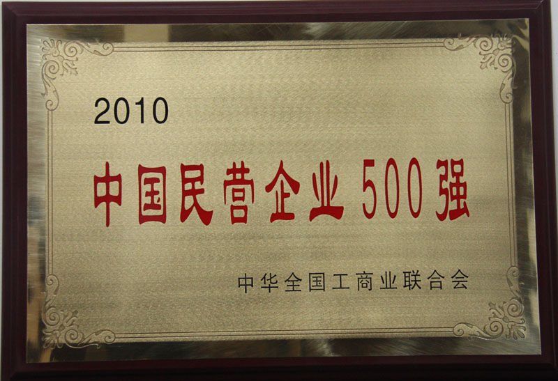 2010 中国民营企业500强