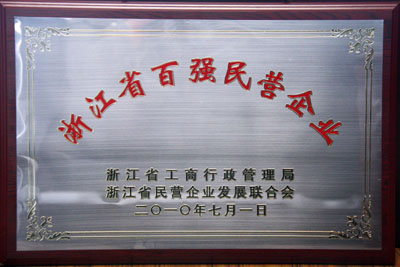 2009年度浙江省百强民营企业