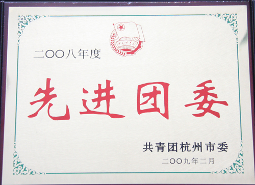海外海团委被杭州市团委授予“2008年度杭州市先进团委”